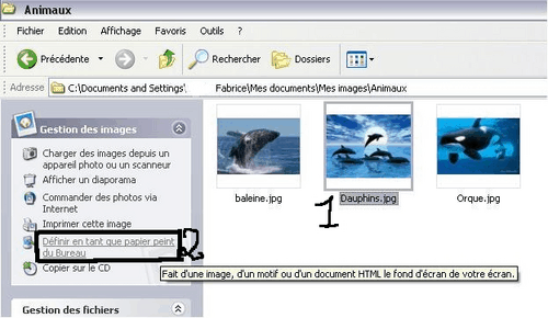 Exemple pour attribuer le fond d